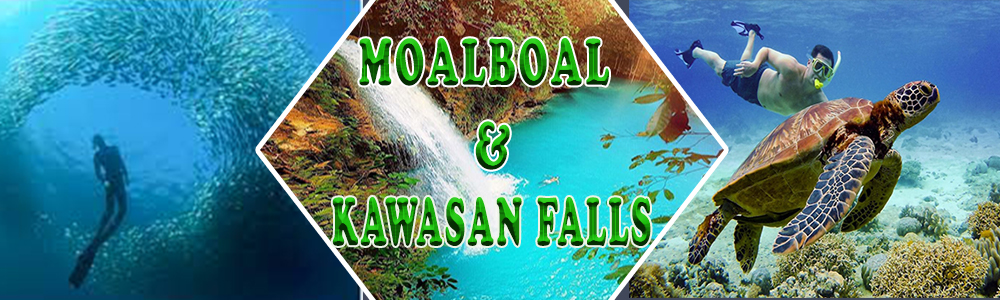 MOALBOAL & KAWASAN FALLS/CANYONEERING TOUR