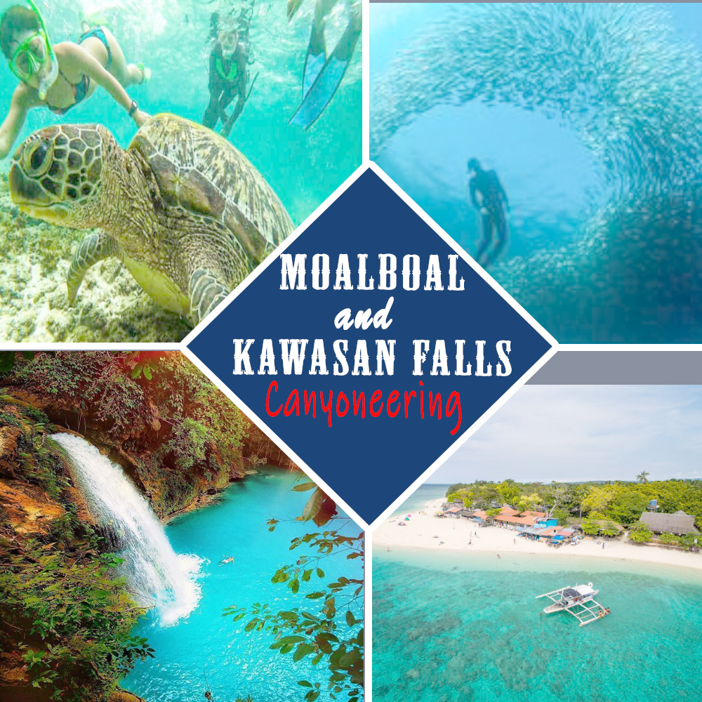 MOALBOAL & KAWASAN FALLS/CANYONEERING TOUR