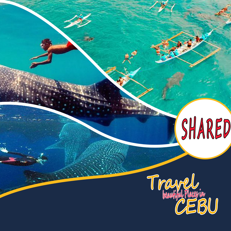 OSLOB TOUR (SHARED)